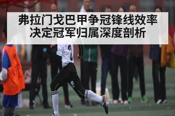弗拉门戈巴甲争冠锋线效率决定冠军归属深度剖析